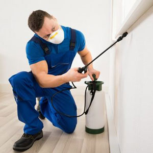 A man in overalls using a pest control device to spray- Moss Bollinger LLP