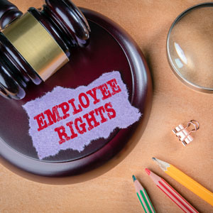 Employee rights -  A visual representation of the fundamental rights and protections - Moss Bollinger LLP